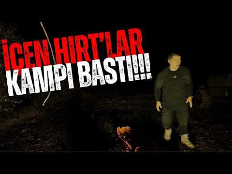 🚐 Hırtlar Kampımı Bastılar! Gece Ormanda Yaşanan Korku Dolu Anlar 😨