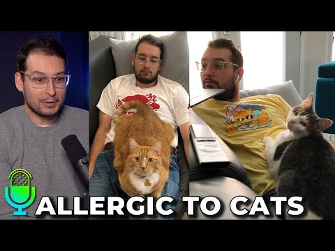 Allergic To Cats & Living With Them Anyways