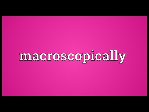 Macroscopically Meaning