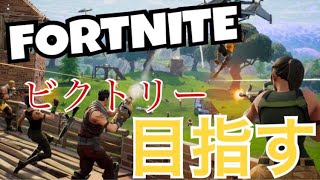 【FORTNITE】　メンバーでビクトリー目指す！！＃２４　生放送　★初見さん大歓迎★【PS4】【参加なし】