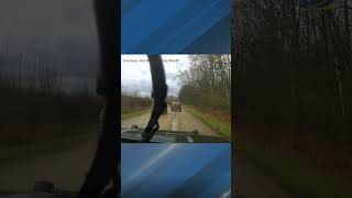 Van Buren County sheriff body cam, dash cam shows man leading deputies on slow chase