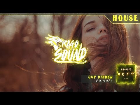 Guy Didden - Choices