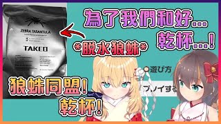 [閒聊] 原來這就是狼蛛啊！