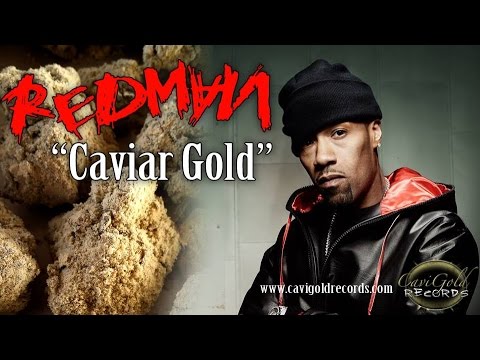 Redman feat Dr Zodiak, Kurupt, and Bingx 