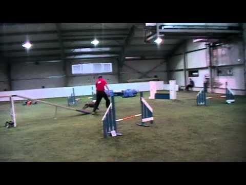 AGI 2014 02 09 LAGI B Espera