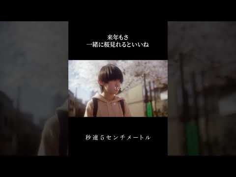 来年もさ、一緒に桜見れるといいね｜『秒速5センチメートル』【大ヒット上映中】