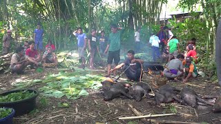 Download lagu Persiapan masakan untuk PERNIKAHAN SABINUS DAN MELIANA di Toraja mp3