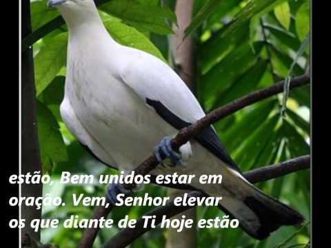 Ao Orarmos, Senhor, Hinário Adventista Nº 593