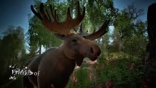 Hela – The froggy backpack explained teaser