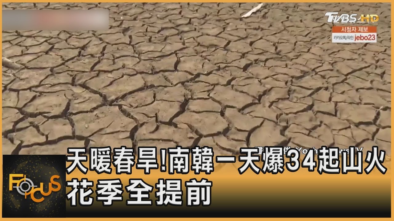 天暖春旱！南韓一天爆34起山火　花季全提前