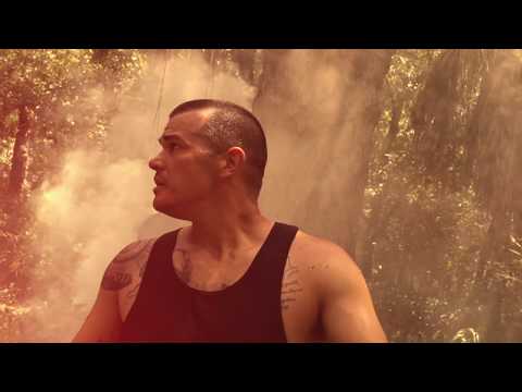 Evolution - Paradox A.O.N.