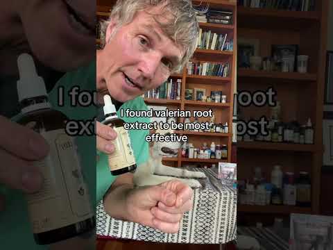 Natural sedative for dogs that works!