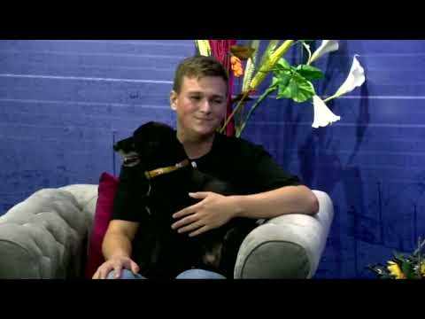 Dunavsko popodne 25.8 - gost Nikola Stojković