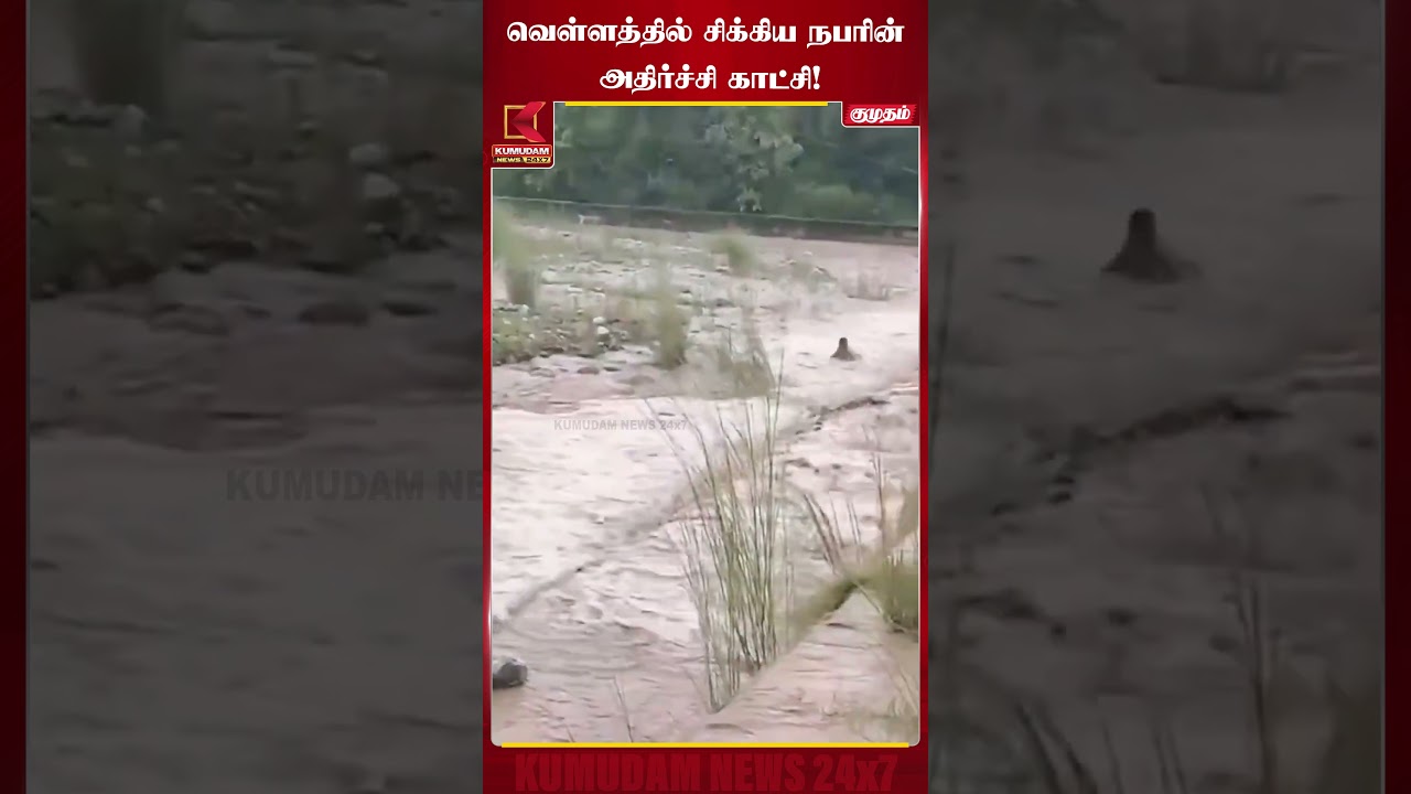 #Uttarakhand  வெள்ளத்தில் சிக்கிய நபரின் அதிர்ச்சி காட்சி!  #RainAlert #FloodAlert #shorts
