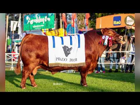 Frigorifico Modelo Remate 4 y 5 de Octubre