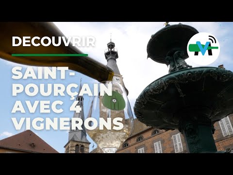 A la découverte du vignoble de Saint-Pourçain