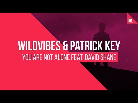 WildVibes & Patrick Key feat. David Shane - You Are Not Alone [FREE DOWNLOAD]