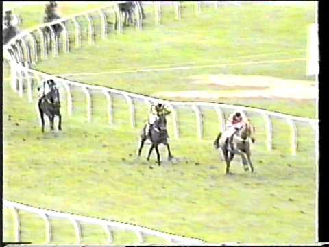 1995 - Cheltenham - Fulke Walwyn Kim Muir Handicap Chase - Flyer's Nap