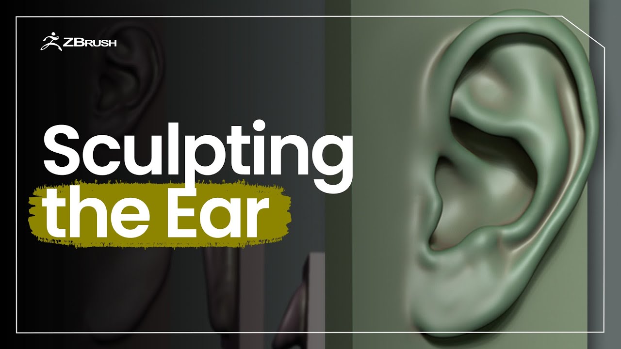 Intro to Sculpting - Sculpting the Ear in ZBrush