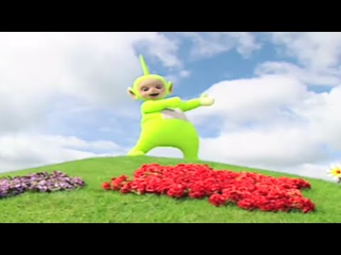 Teletubbies 13 12 - Seals | Videos For Kids