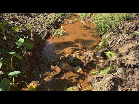 Chalé Novo c/Corredeira de Água | 1.000 m de terreno | poço de manilha e luz | 7 km de Cambui Mg