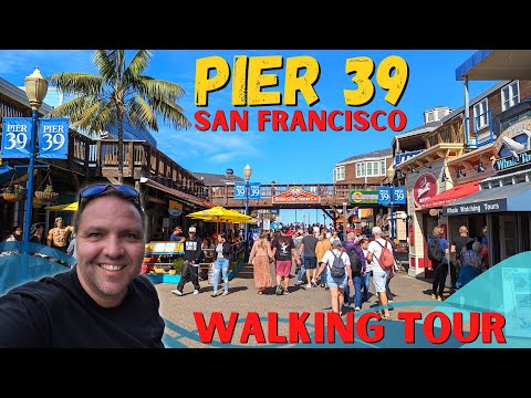 Pier 39 San Francisco Walking Tour: Sea Lions, Shops, & Stunning Views!