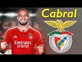 Arthur Cabral ● Welcome to Benfica 🔴⚪️🇧🇷 Goals & Skills