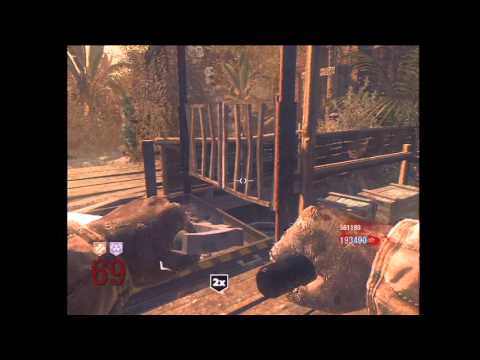 Shang 69 g spawn with IrAq3m Up