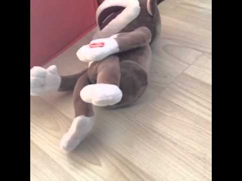 Laughing monkey toy