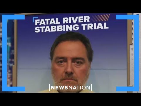 Self-defense or murder in Wisconsin Apple River stabbings? | Dan Abrams Live