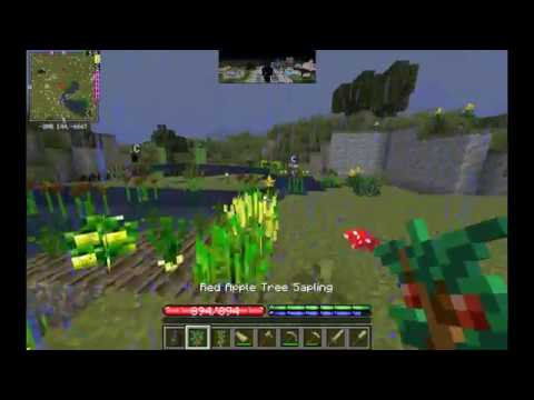 Minecraft Terrafirmacraft ep11 : Kaolinite!!!   (neuer codec)