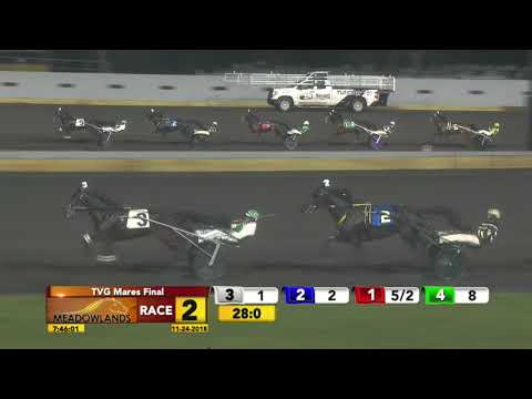 TVG MARES TROT FINAL - NOVEMBER 24, 2018