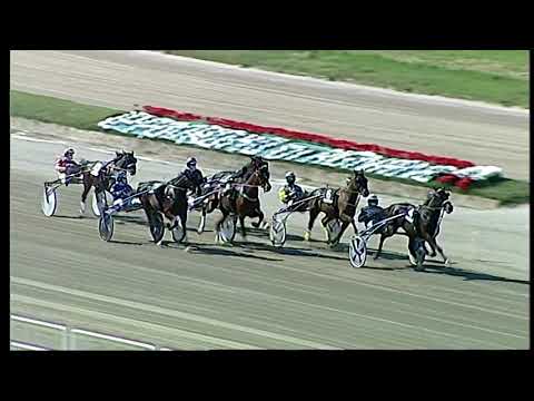 Napoli Trotto 28/03/2021 - 4ª corsa