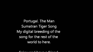 Sumatran Tiger - Portugal. The Man - Breed The Endangered Song (for quality see description)