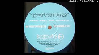 Kozmic Niggah - The Art Of Peace (Hybrid, 1996)