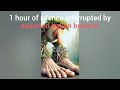1 Hour Of Silence Occasionally Broken By Italian Brainrot