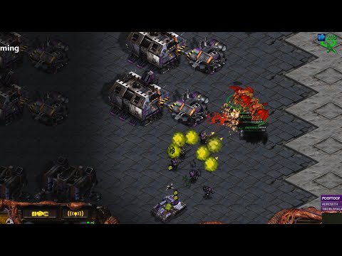 Starcraft: Remastered [2v2 sM. vs Friendly & Saik]
