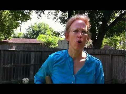 Athenaze 01b with captions