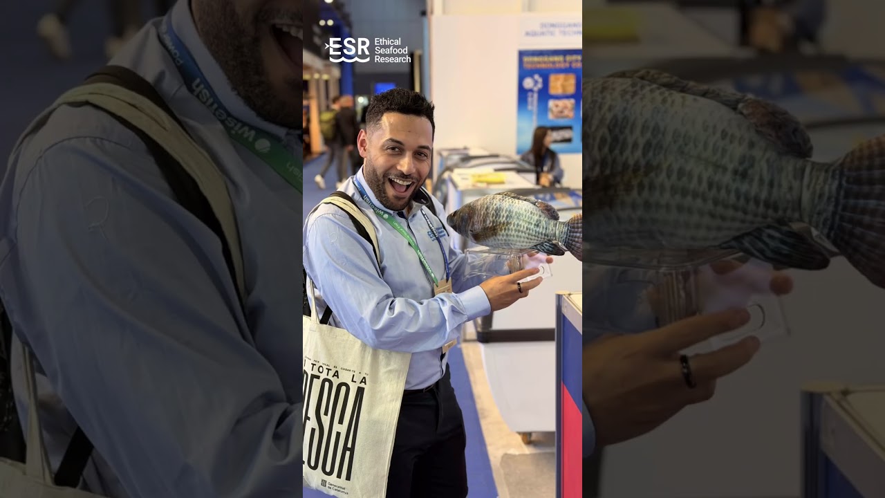 Come Along to Seafood Expo Global 2026 with Ethical Seafood Research