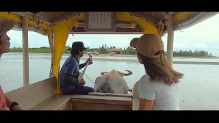 石垣島ドリーム観光