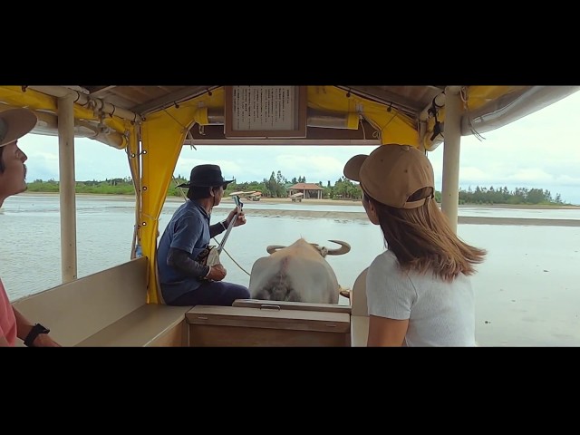 石垣島ドリーム観光