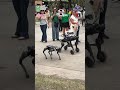 Homepage 12 Video thumbnail