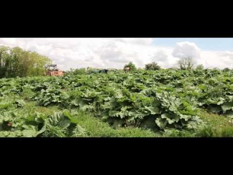 pourquoi la nature en ville