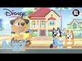 Bluey | De Vijand | Disney Channel NL