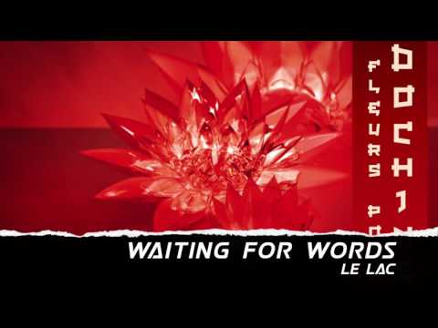 Waiting For Words - Le Lac (Indochine Cover)