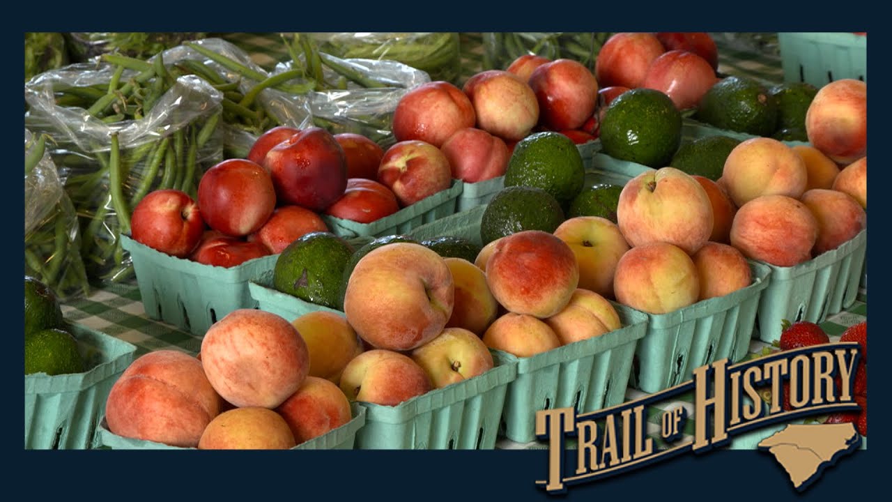 The History of Farmers Markets | Trail Of History