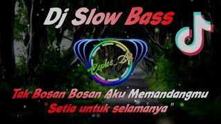 Download lagu DJ Setia Untuk Selamanya || Tak Bosan Bosan Aku Memandangmu || no copyright mp3
