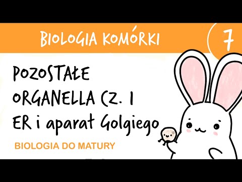 Cytology 7 - Other organelles part 1: ER and Golgi apparatus - extended biology high school final...