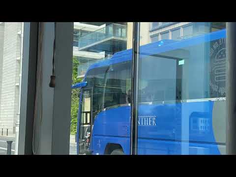 Plaxton Panther Bus, Demo, Dockslands