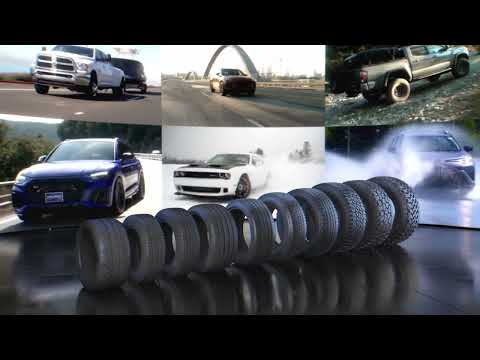 Falken Ziex Ze950 A/S 215/50R17 Tires | 28953771 Falken Ziex Ze950 A/S 215/50R17 Tires | 28953771